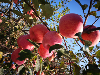 bifa·必发(中国)唯一官方网站